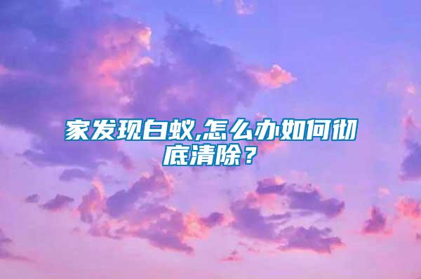 家發(fā)現(xiàn)白蟻,怎么辦如何徹底清除？