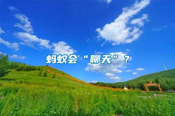 螞蟻會(huì)“聊天”？