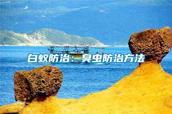 白蟻防治：臭蟲防治方法