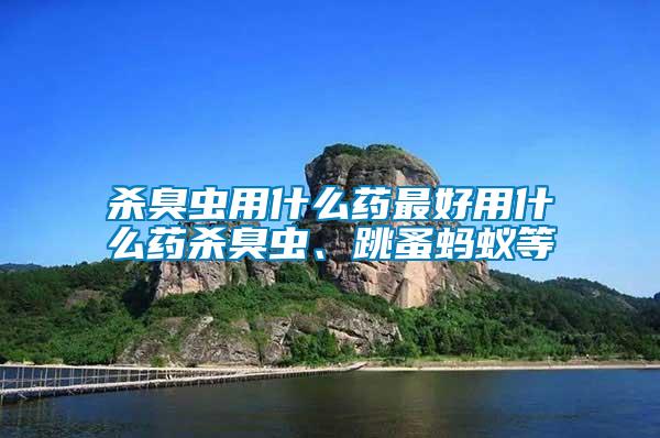 殺臭蟲(chóng)用什么藥最好用什么藥殺臭蟲(chóng)、跳蚤螞蟻等