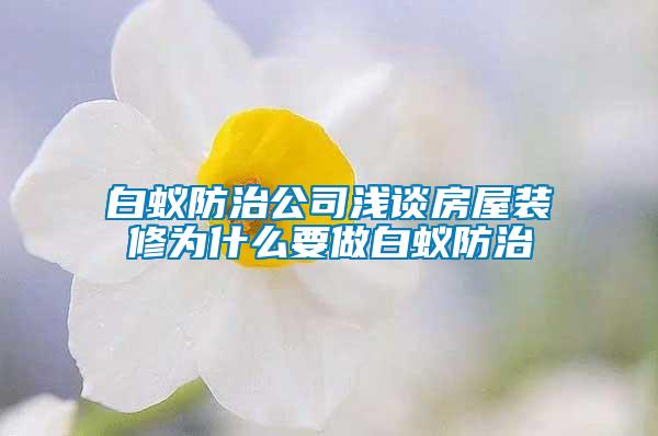 白蟻防治公司淺談房屋裝修為什么要做白蟻防治