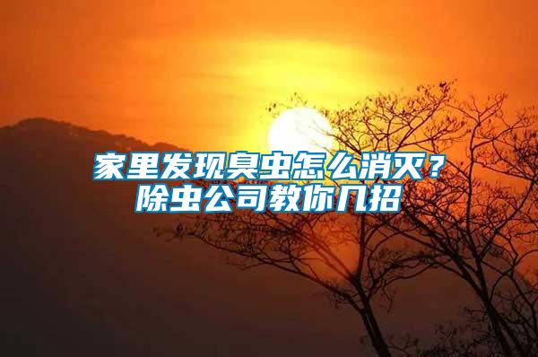 家里發(fā)現(xiàn)臭蟲(chóng)怎么消滅？除蟲(chóng)公司教你幾招