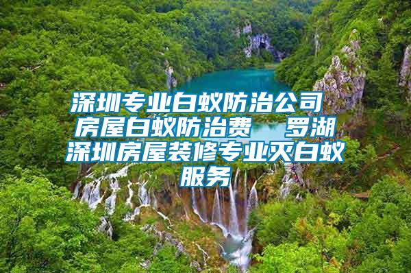 深圳專業(yè)白蟻防治公司 房屋白蟻防治費(fèi)  羅湖深圳房屋裝修專業(yè)滅白蟻服務(wù)