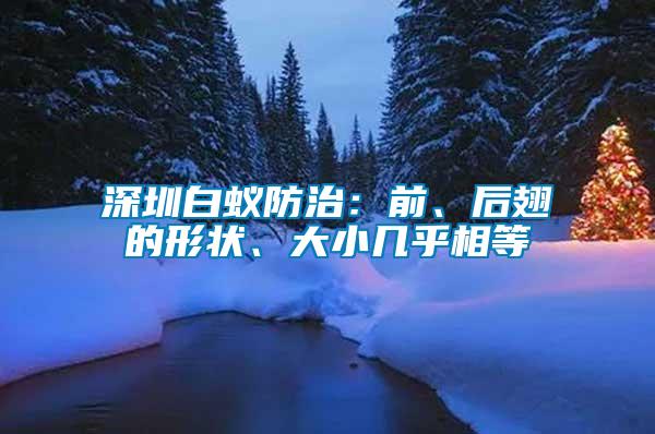 深圳白蟻防治：前、后翅的形狀、大小幾乎相等