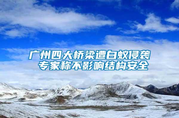 廣州四大橋梁遭白蟻侵襲 專家稱不影響結(jié)構(gòu)安全