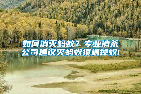 如何消滅螞蟻？專業(yè)消殺公司建議滅螞蟻?lái)毝说粝?