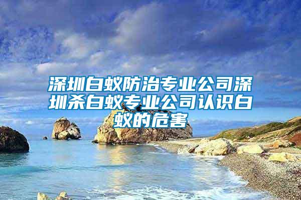 深圳白蟻防治專業(yè)公司深圳殺白蟻專業(yè)公司認識白蟻的危害