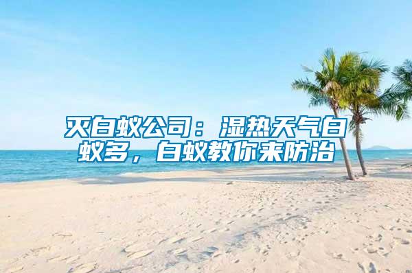 滅白蟻公司：濕熱天氣白蟻多，白蟻教你來防治