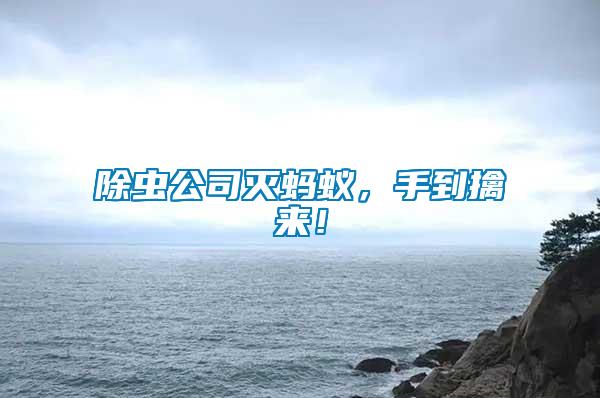 除蟲公司滅螞蟻，手到擒來！