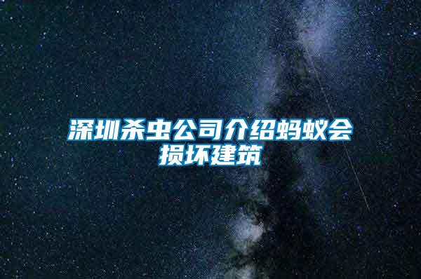 深圳殺蟲公司介紹螞蟻會(huì)損壞建筑