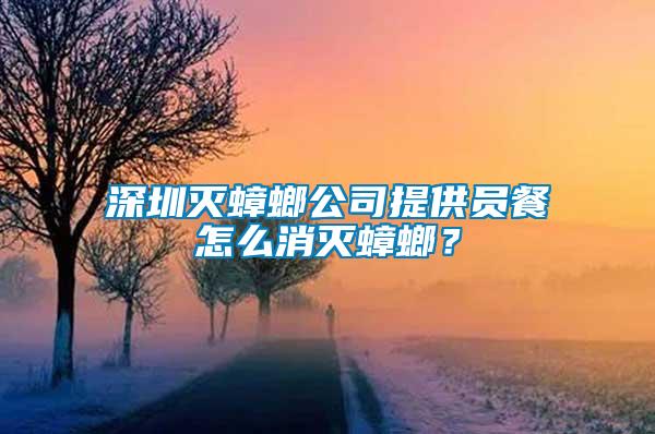 深圳滅蟑螂公司提供員餐怎么消滅蟑螂？