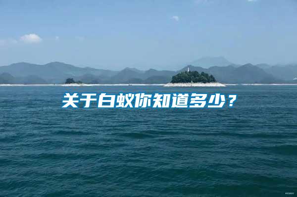 關(guān)于白蟻你知道多少？