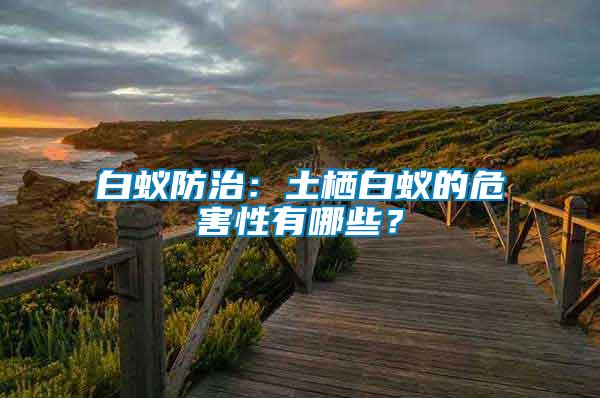 白蟻防治：土棲白蟻的危害性有哪些？