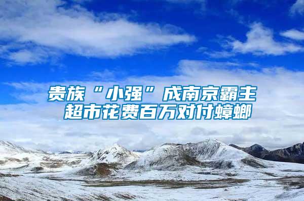 貴族“小強”成南京霸主 超市花費百萬對付蟑螂