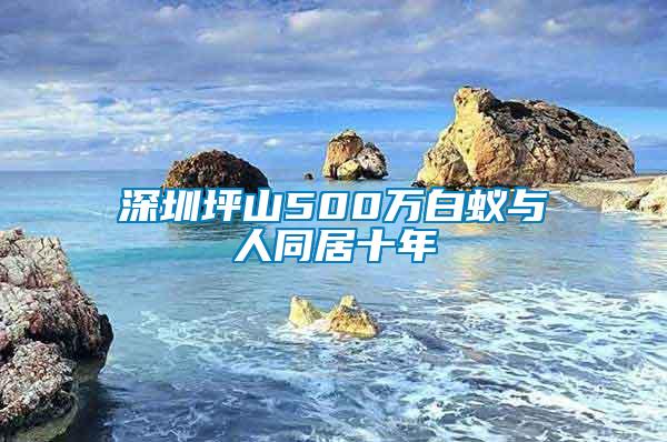 深圳坪山500萬白蟻與人同居十年