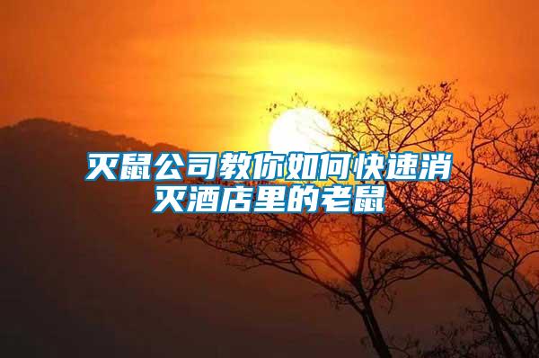 滅鼠公司教你如何快速消滅酒店里的老鼠