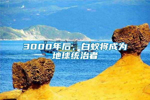 3000年后，白蟻將成為地球統(tǒng)治者