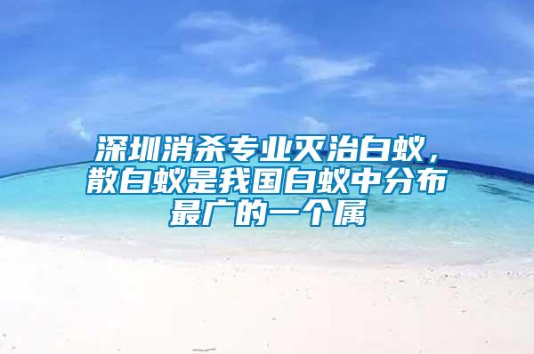 深圳消殺專業(yè)滅治白蟻，散白蟻是我國白蟻中分布最廣的一個屬