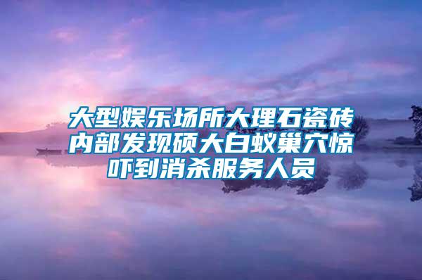 大型娛樂(lè)場(chǎng)所大理石瓷磚內(nèi)部發(fā)現(xiàn)碩大白蟻巢穴驚嚇到消殺服務(wù)人員