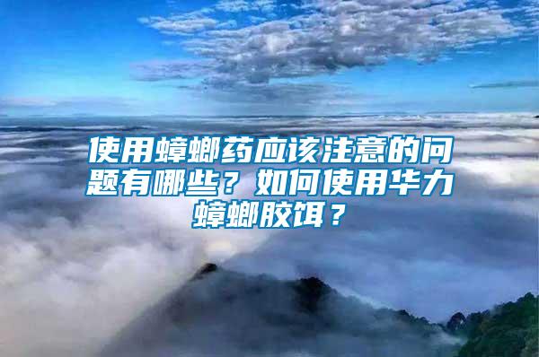 使用蟑螂藥應(yīng)該注意的問(wèn)題有哪些？如何使用華力蟑螂膠餌？