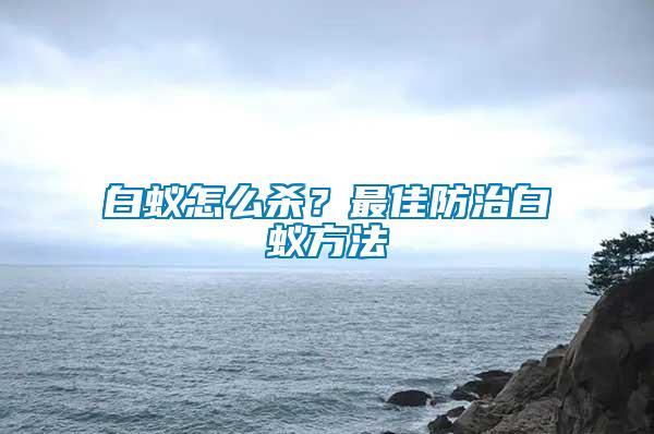 白蟻怎么殺？最佳防治白蟻方法