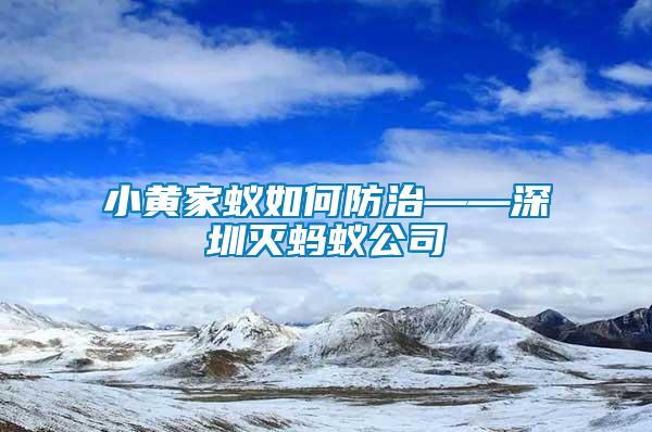 小黃家蟻如何防治——深圳滅螞蟻公司