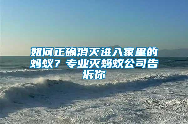 如何正確消滅進(jìn)入家里的螞蟻？專業(yè)滅螞蟻公司告訴你