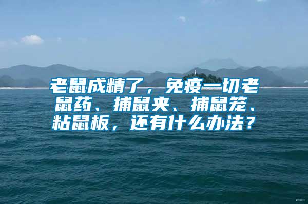 老鼠成精了，免疫一切老鼠藥、捕鼠夾、捕鼠籠、粘鼠板，還有什么辦法？