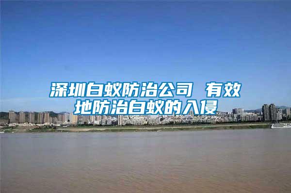 深圳白蟻防治公司 有效地防治白蟻的入侵