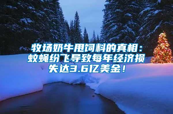 牧場奶牛甩飼料的真相：蚊蠅紛飛導(dǎo)致每年經(jīng)濟(jì)損失達(dá)3.6億美金！