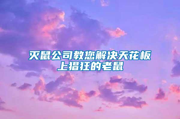 滅鼠公司教您解決天花板上猖狂的老鼠