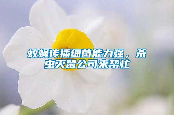 蚊蠅傳播細菌能力強，殺蟲滅鼠公司來幫忙