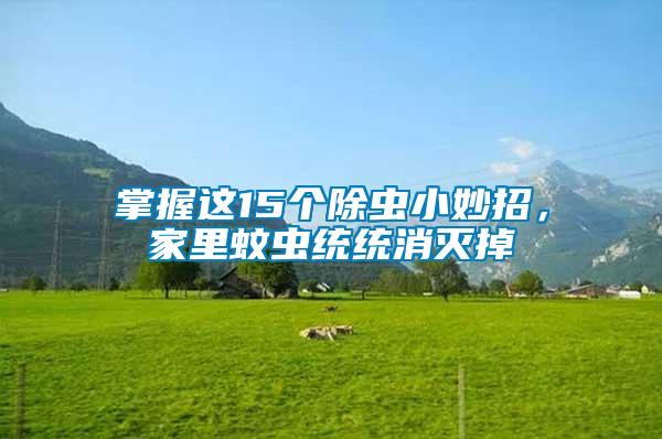 掌握這15個(gè)除蟲(chóng)小妙招，家里蚊蟲(chóng)統(tǒng)統(tǒng)消滅掉