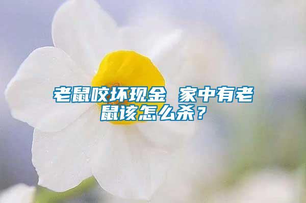 老鼠咬壞現(xiàn)金 家中有老鼠該怎么殺？