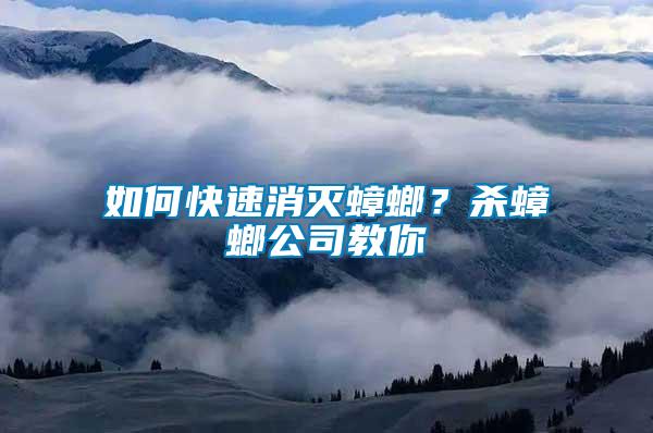 如何快速消滅蟑螂？殺蟑螂公司教你