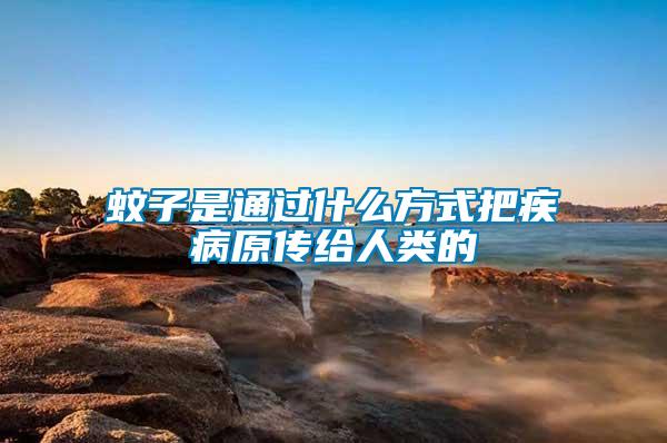 蚊子是通過什么方式把疾病原傳給人類的