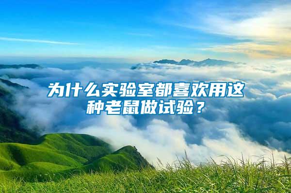 為什么實(shí)驗(yàn)室都喜歡用這種老鼠做試驗(yàn)？