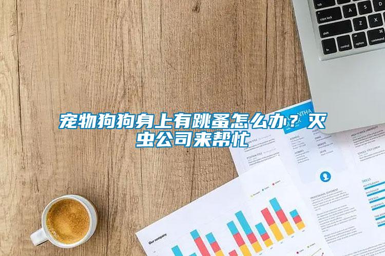 寵物狗狗身上有跳蚤怎么辦？滅蟲公司來(lái)幫忙