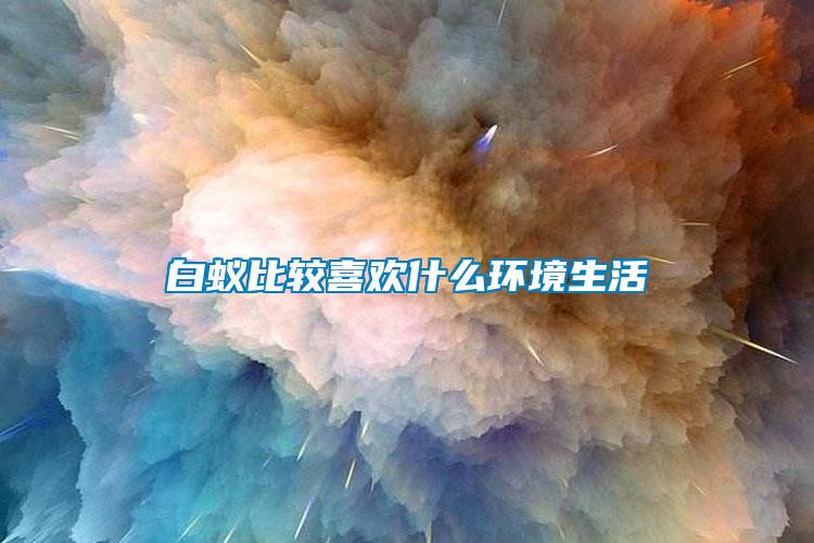 白蟻比較喜歡什么環(huán)境生活