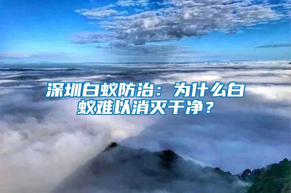 深圳白蟻防治：為什么白蟻難以消滅干凈？