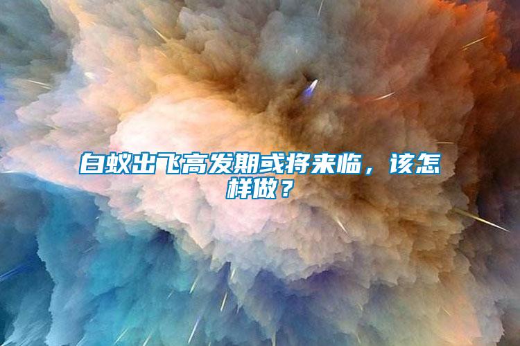 白蟻出飛高發(fā)期或?qū)砼R，該怎樣做？