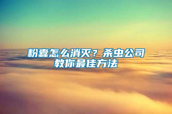 粉蠹怎么消滅？殺蟲公司教你最佳方法