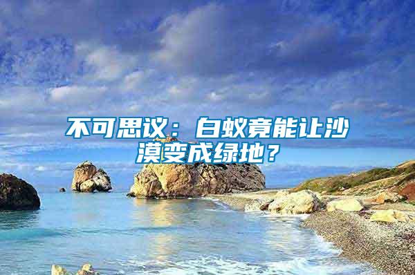 不可思議：白蟻竟能讓沙漠變成綠地？