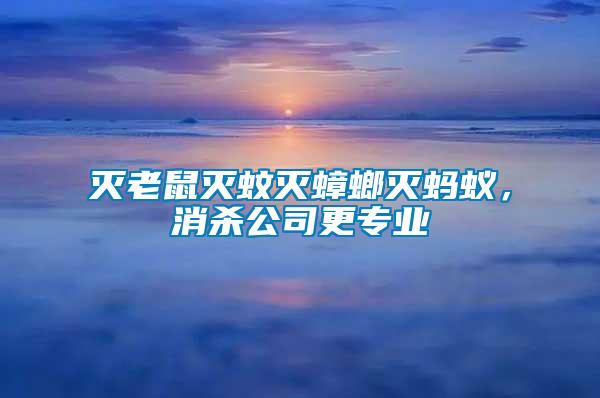 滅老鼠滅蚊滅蟑螂滅螞蟻，消殺公司更專業(yè)