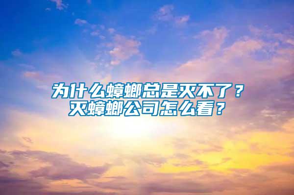 為什么蟑螂總是滅不了？滅蟑螂公司怎么看？