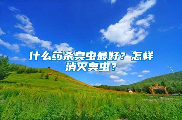 什么藥殺臭蟲最好？怎樣消滅臭蟲？