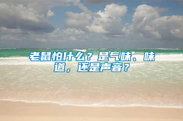 老鼠怕什么？是氣味、味道，還是聲音？