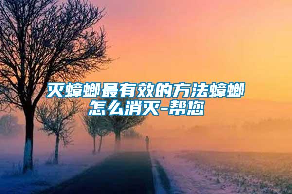 滅蟑螂最有效的方法蟑螂怎么消滅-幫您