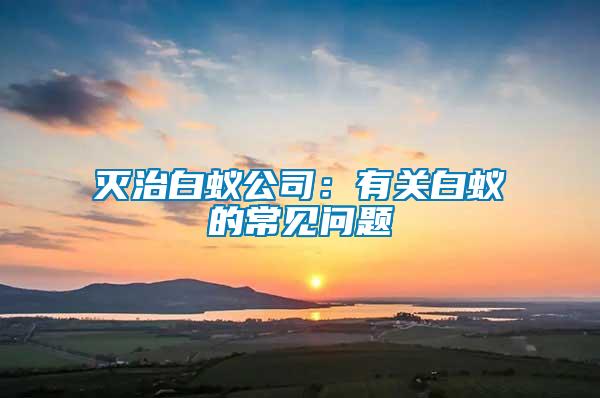 滅治白蟻公司：有關(guān)白蟻的常見問題