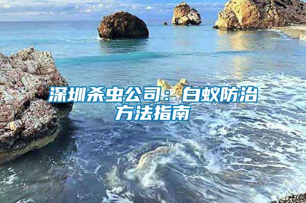 深圳殺蟲公司：白蟻防治方法指南